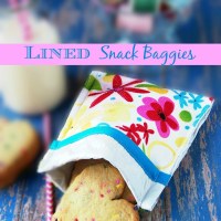 Re-usable Lined Plastic Bags {sewing}