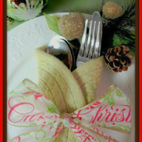 How_to_make_a_potholder_place_setting