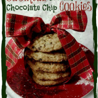 oatmeal chocolate chip cinnamon cookies