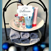 2_Tier_bathroom_shelve