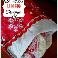 re-usable plastic lined baggie