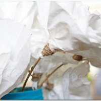 20130731_20-copy-web