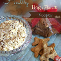 healthy dog treats