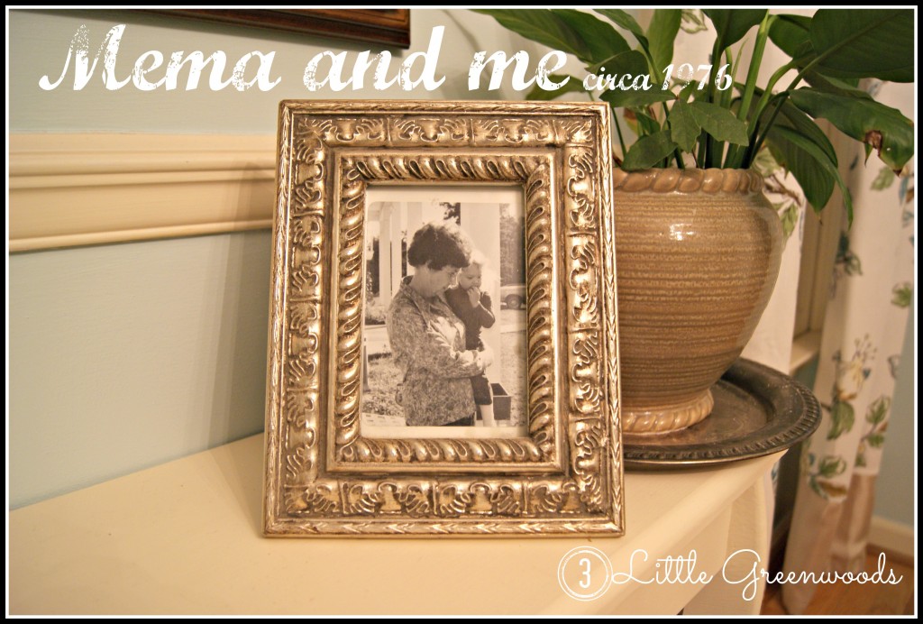 Mema and me by 3 Little Greenwoods