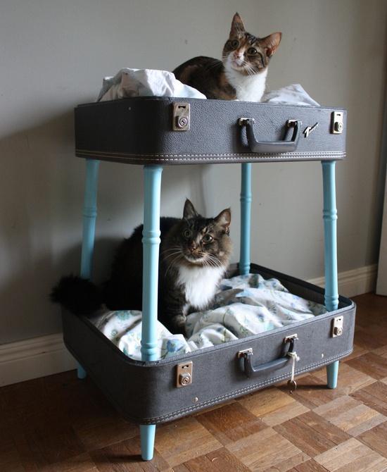 vintage-suitcase-bunk-pet-bed